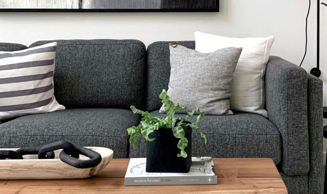 a couch with a coffee table with a plant and decor on it